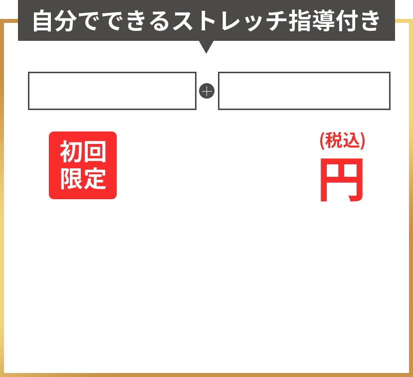 整体みかげ 初回限定CTA